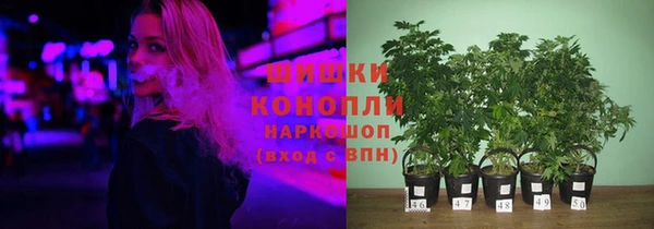 прущие крисы Алзамай