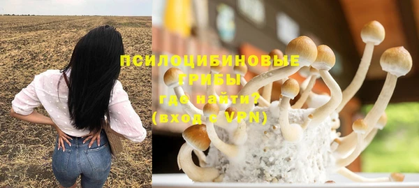 прущие крисы Алзамай