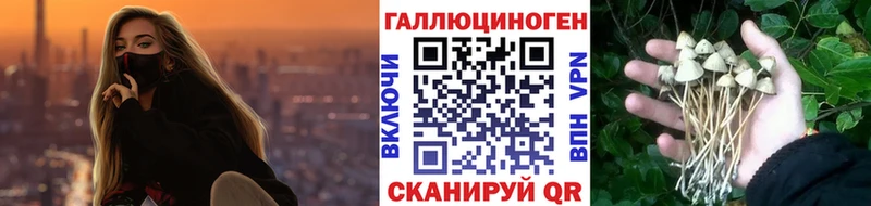 Галлюциногенные грибы прущие грибы Ясный